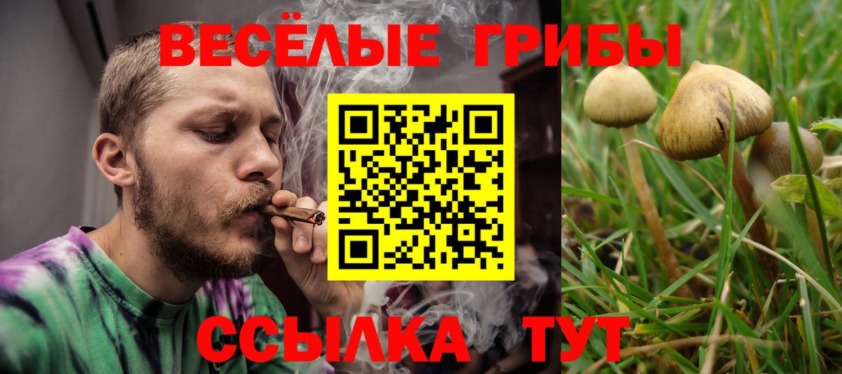 Галлюциногенные грибы прущие грибы Волоколамск