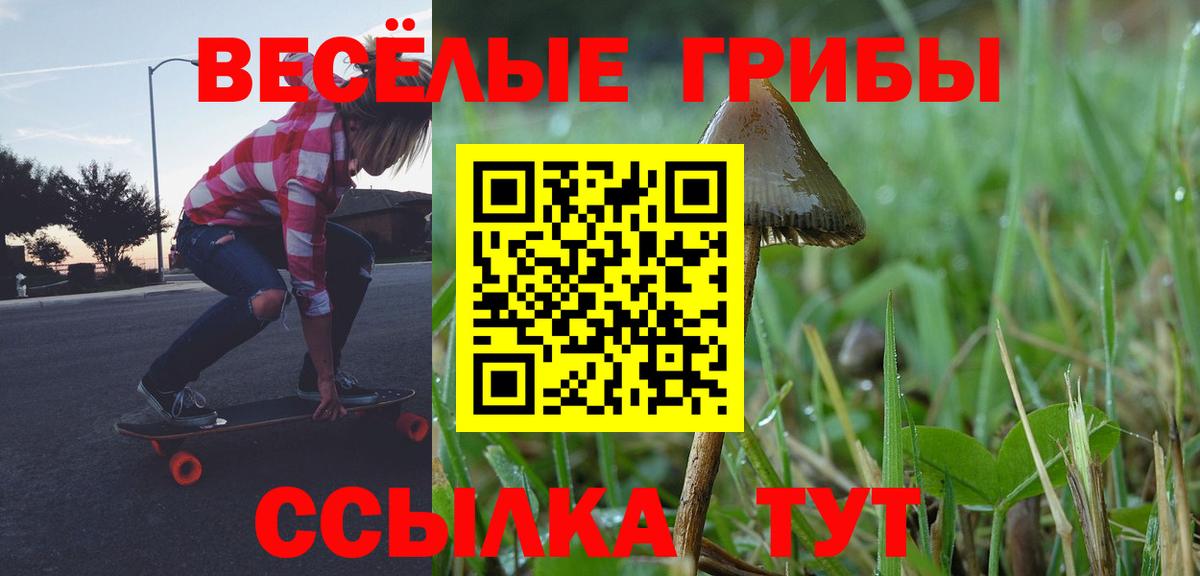 наркота  Галлюциногенные грибы Cubensis  Вход с VPN  Волоколамск 